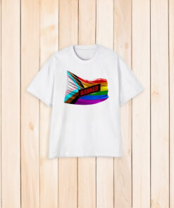 Pride Flags should be BANNED from Church & Schools T-Shirt