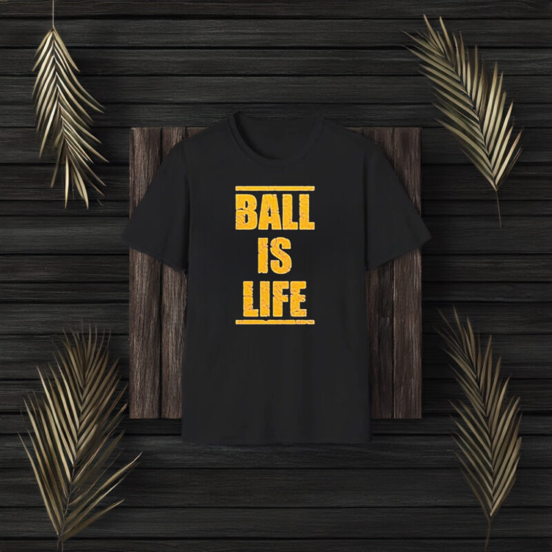 Dan Quinn Washington Commanders Nfl Ball Is Life T-Shirt