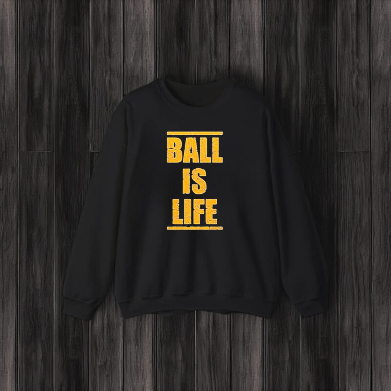 Dan Quinn Washington Commanders Nfl Ball Is Life T-Shirt3