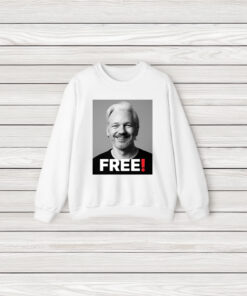 Free Julian Assange T-Shirt3