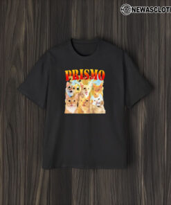 Prismo Cats T-Shirt1