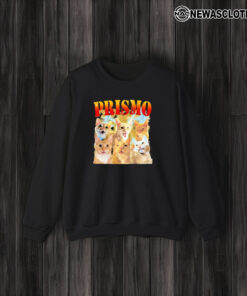 Prismo Cats T-Shirt3