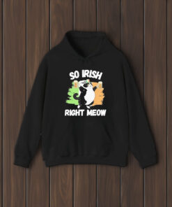 So Irish Right Meow Cat T-Shirt2