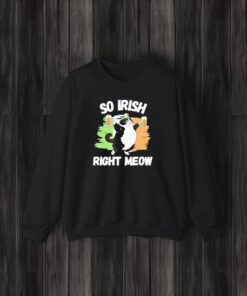 So Irish Right Meow Cat T-Shirt3