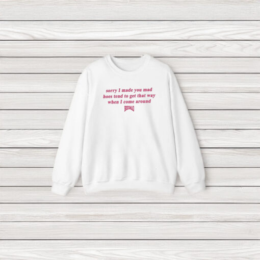 Sorry I Made You Mad Hoes Tend To Get That Way When I Come Around T-Shirt3