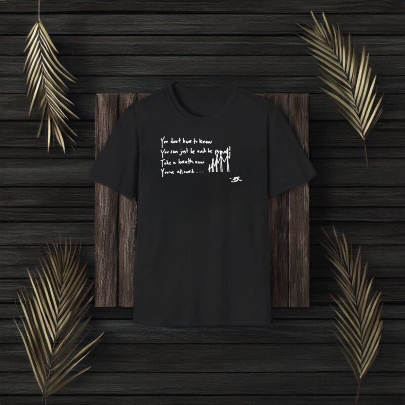 You Dont Have To Know You Can Just Be And Be Proud Take A Breath Now You’ve Allowed T-Shirt3