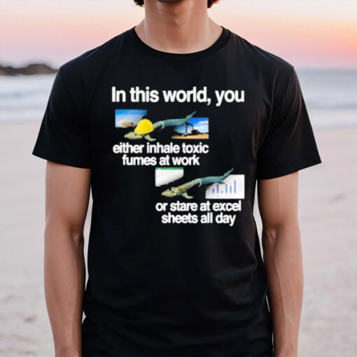 In This World You Either Inhale Toxic Fumes At Work Or Stare At Excel Sheets All Day T-Shirt2