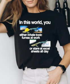 In This World You Either Inhale Toxic Fumes At Work Or Stare At Excel Sheets All Day T-Shirt3