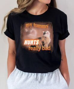 My Tummy Hurts Really Bad Cat T-Shirt2