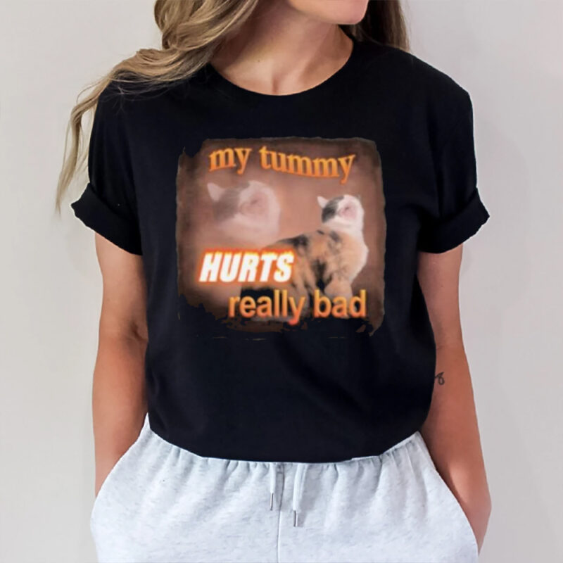 My Tummy Hurts Really Bad Cat T-Shirt2