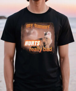 My Tummy Hurts Really Bad Cat T-Shirt3