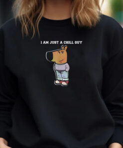 I Am Just A Chill Guy Funny Sweatshirt , Hoodie , T-shirt , Long Sleeve T-shirt1