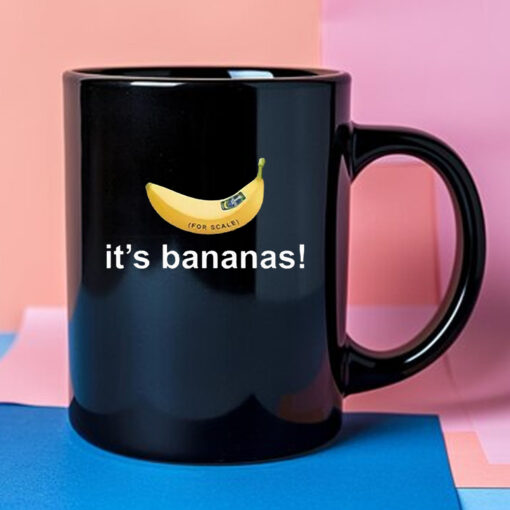 SpaceX Starship Flight 6 It’s Bananas Mug 2024