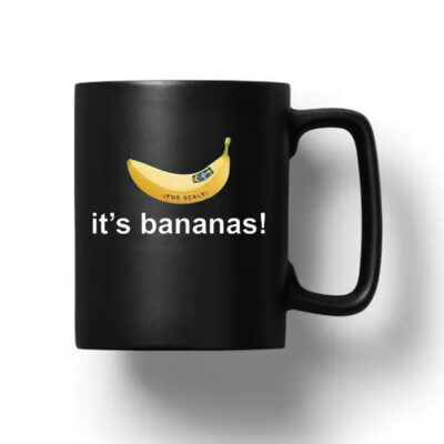 SpaceX Starship Flight 6 Its Bananas Mug 20241