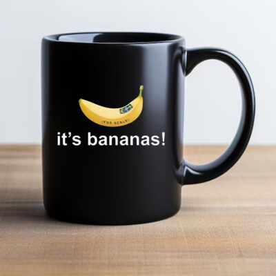 SpaceX Starship Flight 6 It’s Bananas Mug 20242