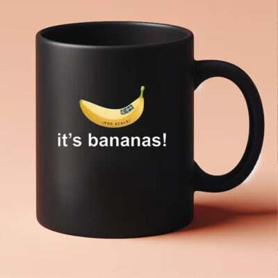 SpaceX Starship Flight 6 It’s Bananas Mug 20243