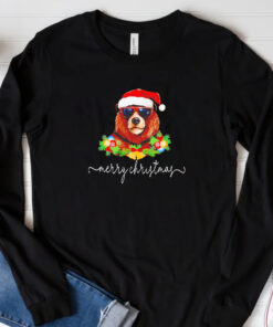 The Bear Merry Christmas T-Shirt 20243