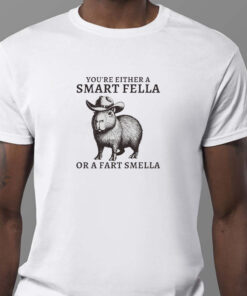 You're Either A Smart Fella Or A Fart Smella Sweatshirt , T-shirt , Hoodie , Long Sleeve T-shirt1