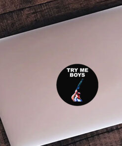 Carl Niehaus Try Me Boys Stickers