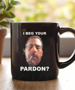 I Beg Your Pardon Mug 20241