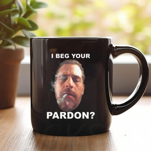 I Beg Your Pardon Mug 20241