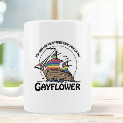  You Look Like Your Family Came Over On The Gayflower Mug Coffee