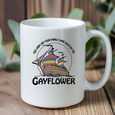  You Look Like Your Family Came Over On The Gayflower Mug Coffee