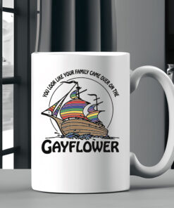 You Look Like Your Family Came Over On The Gayflower Mug Coffee