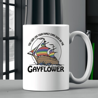  You Look Like Your Family Came Over On The Gayflower Mug Coffee