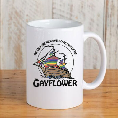  You Look Like Your Family Came Over On The Gayflower Mug Coffee